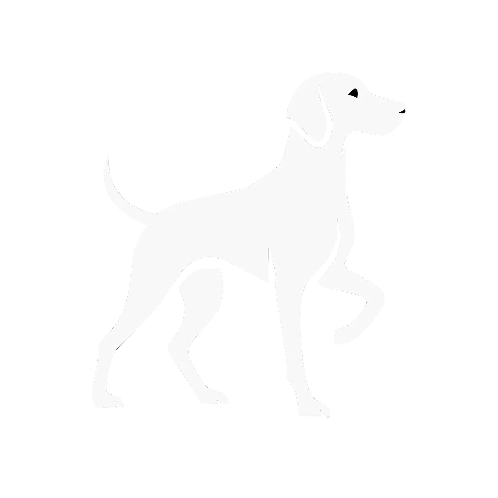 Pointer Studio