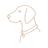 Pointer Line